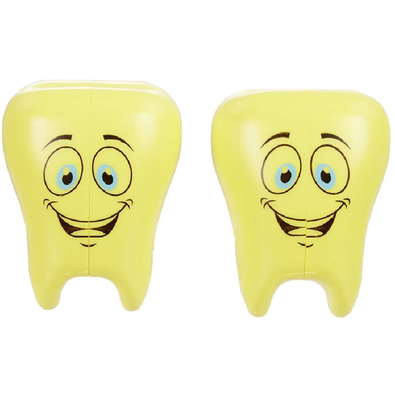 Range brosse à dents forme molaire