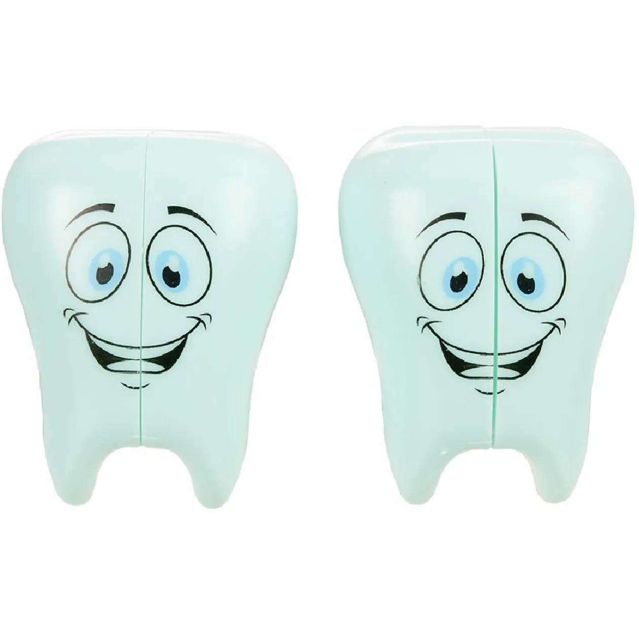 Range brosse à dents forme molaire