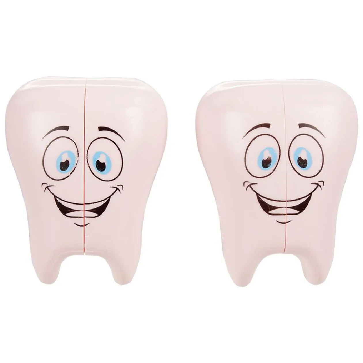 Range brosse à dents forme molaire