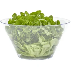 Saladier en plastique transparent