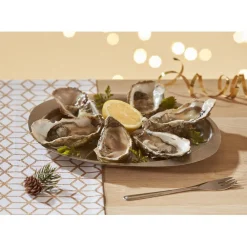 Service à huîtres argenté inox 6 plats 6 fourchettes