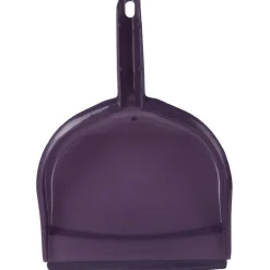 Set balai avec pelle