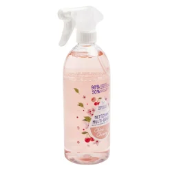 Spray nettoyant multiusage 750 ml