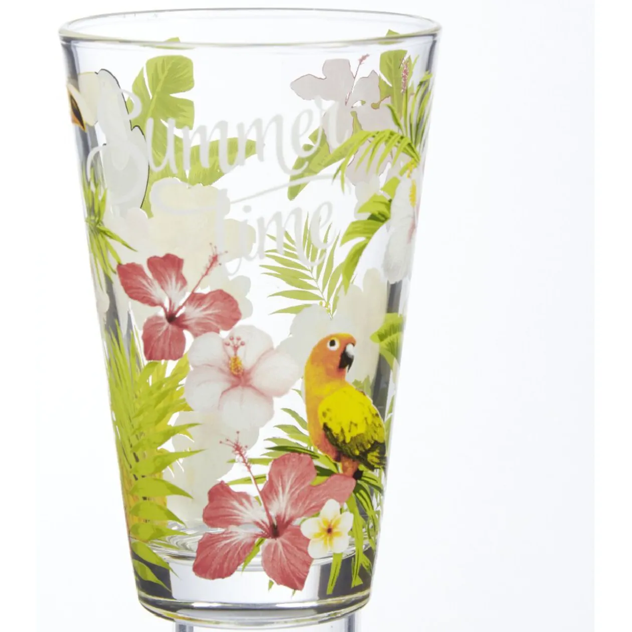 Verre haut Nadia Jungle x 3